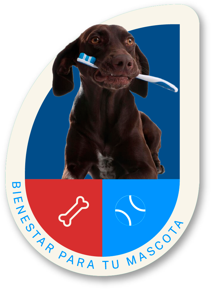 ¿Es importante la salud bucal de mi mascota?