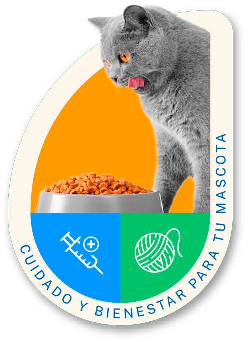 ¿Qué tipo de alimentación se recomienda darle a mi mascota?