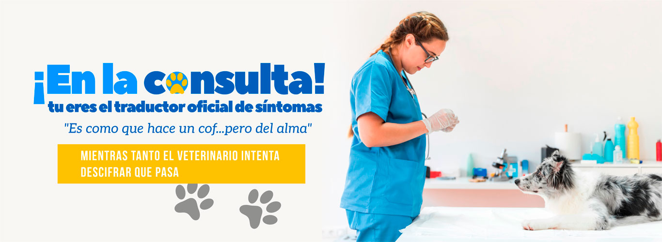 En la consulta tu eres el traductor oficial de sintomas